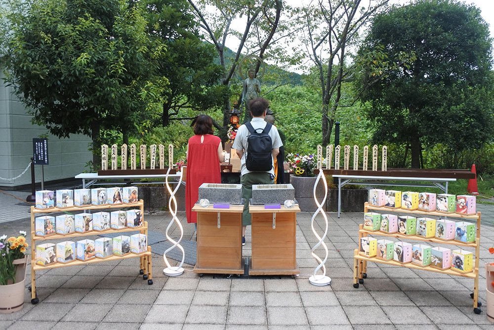 8月14日
